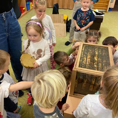 Vcelky V Ms 20241023 06