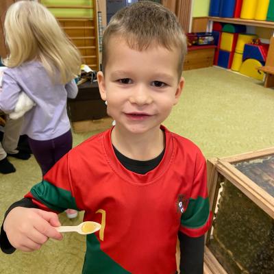 Vcelky V Ms 20241023 09