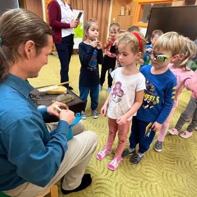 Vcelky V Ms 20241023 17