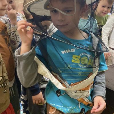 Vcelky V Ms 20241023 18