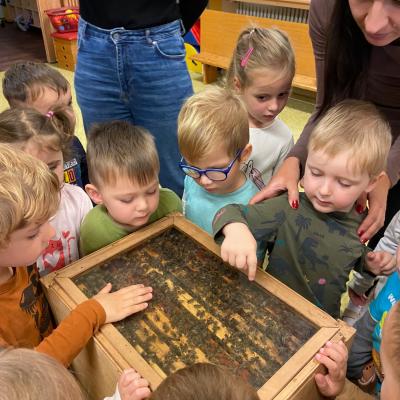 Včelky v MŠ 10/2024